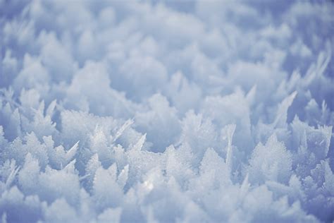 A close up of a bunch of snow flakes photo – Free South lake tahoe ...