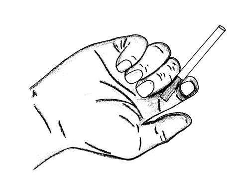 Tobacco Leaf Coloring Page Sketch Coloring Page