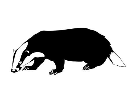 Badger Svg Badger Clipart Badger Files For Cricut Badger Cut Files