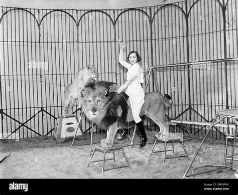 Circus Lion Tamer Hi Res Stock Photography And Images Alamy