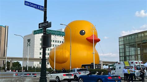 Dinosaurs World S Largest Rubber Duck Part Of New