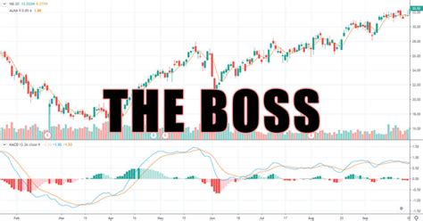The Boss