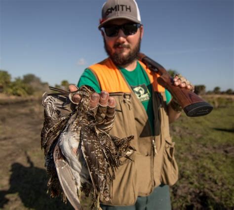 Guide to Florida Snipe Hunting - Fin and Field Blog