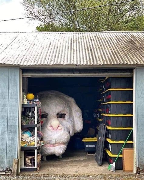 Falcor in his retirement home : r/brakebills