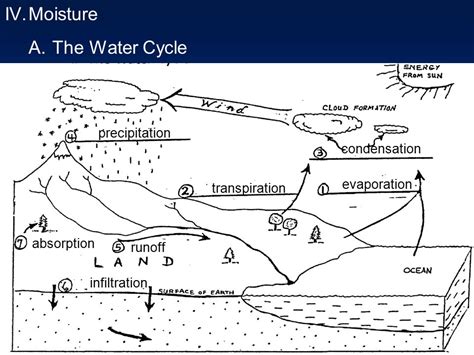 Water Cycle Precipitation