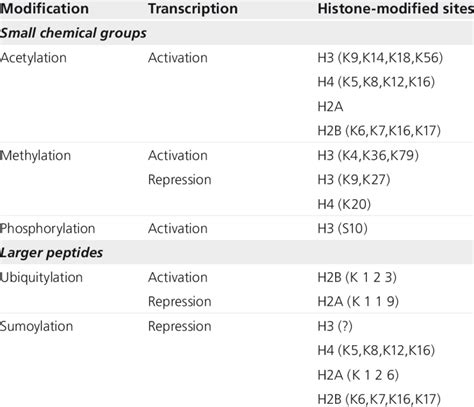 Types of covalent histone post-translational modifications. | Download ...