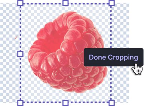 Crop Png Online Free Png Cropper Tool