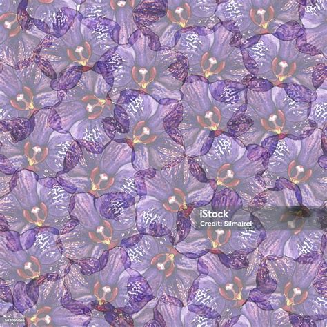 Violet Phalaenopsis Orchid Flower Seamless Pattern Texture Stock