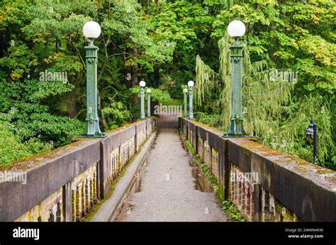 The Washington Park Arboretum Botanic Gardens In The City Of Seattle