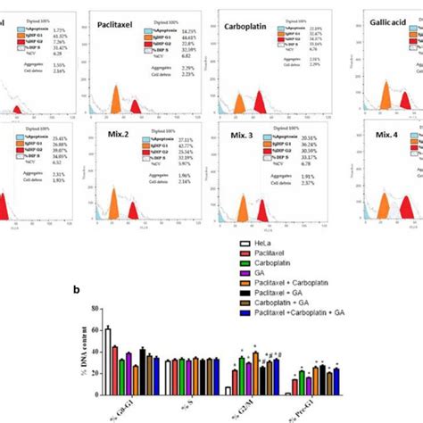 Cell Cycle Analysis Of Hela Cells Following Treatment With Different Download Scientific