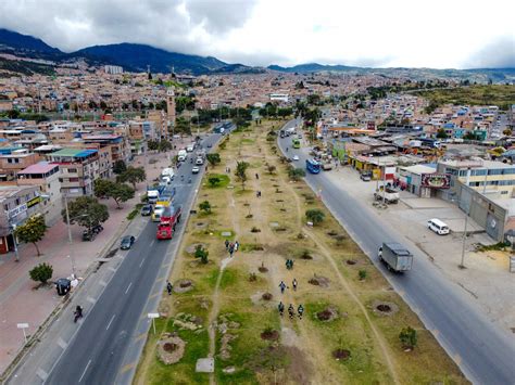 Bogotá plantan más de 300 árboles en Usme para celebrar Día Mundial