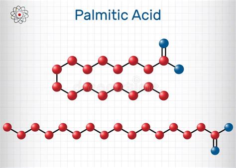 ácido Palmitico O Molécula Hexadecanoica C16h32o2 Es ácido Graso