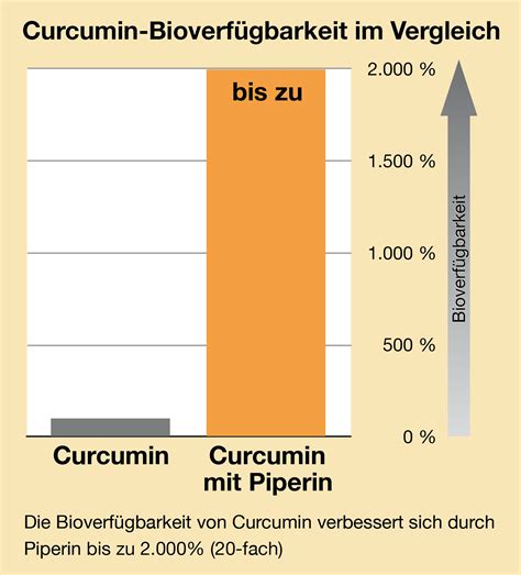 Curcuma Piperin Forte Nach Dr Med Michalzik Kapseln