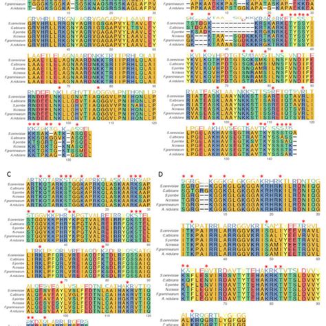 Protein Sequence Alignments Canonical Histones H2a H2b H3 And H4 In