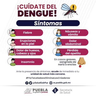 En Puebla Nueve Personas Hospitalizadas Por Dengue Salud