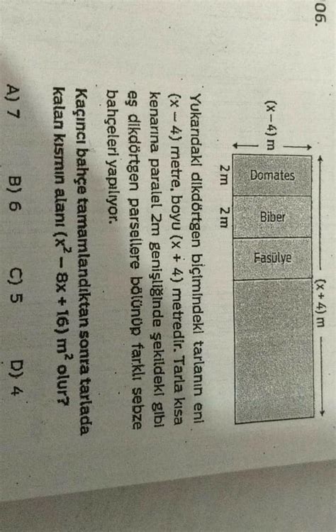 cevap hangi şık yazabilir misiniz Eodev