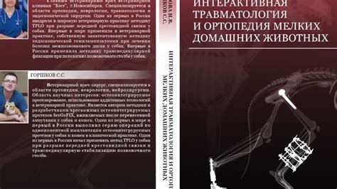 Презентация книги - YouTube
