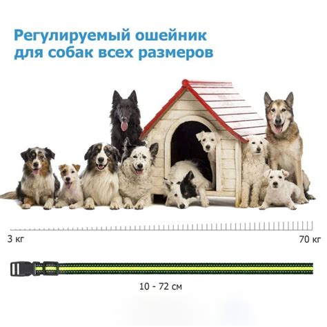 Антилай Q9 PROFI купить по низкой цене в интернет-магазине SMDOG