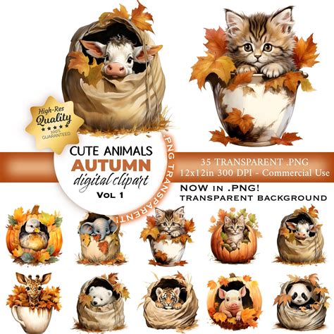 35 Autumn Clipart Autumn Animals Clipart Autumn PNG Cups - Etsy