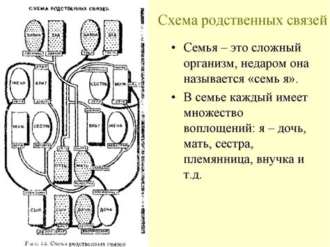 В кругу семьи. Семья - презентация онлайн