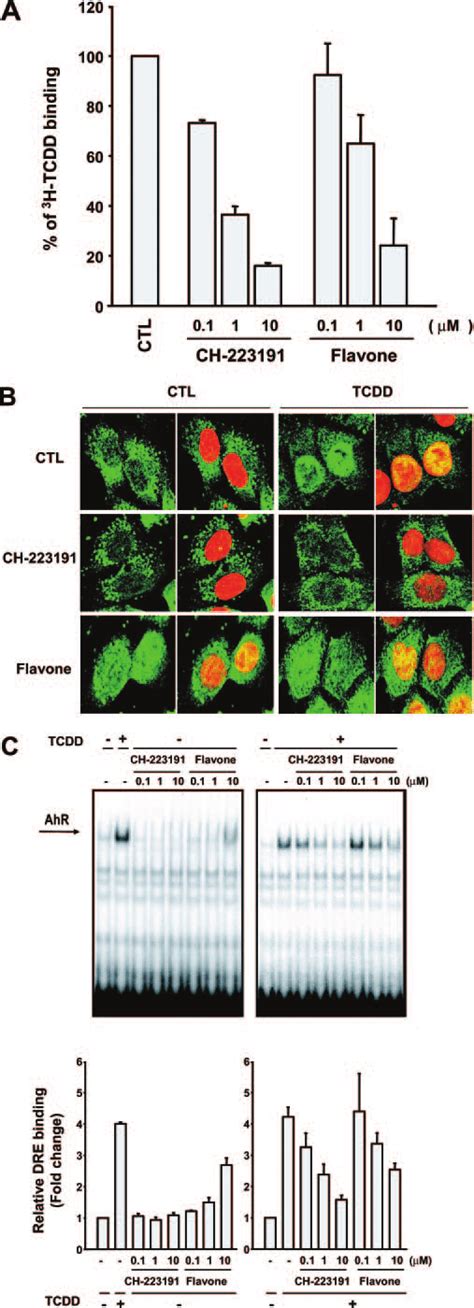 Ch Inhibits Tcdd Ahr Binding And Tcdd Induced Nuclear