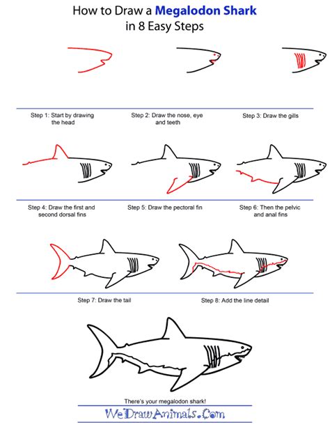 How To Draw A Megalodon Shark