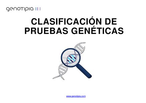 4 1 Introducción ClasificaciÓn De Pruebas GenÉticas Genotipia