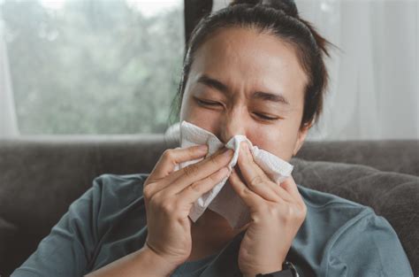 Sinusitis Kenali Gejala Penyebab Dan Bahaya Radang Pada Hidung Riset