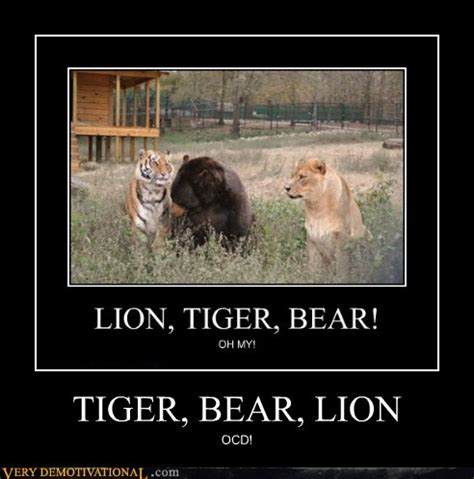 TIGER, BEAR, LION - Very Demotivational - Demotivational Posters | Very ...