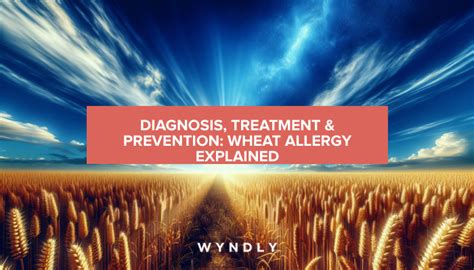 Understanding Wheat Allergy Diagnosis Treatment And Prevention 2024 And Wyndly