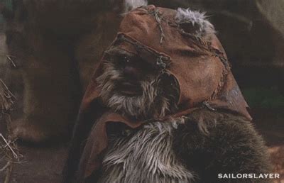 I Literally Am Making A Set Of Ewok GIFs - Get the best GIF on GIPHY