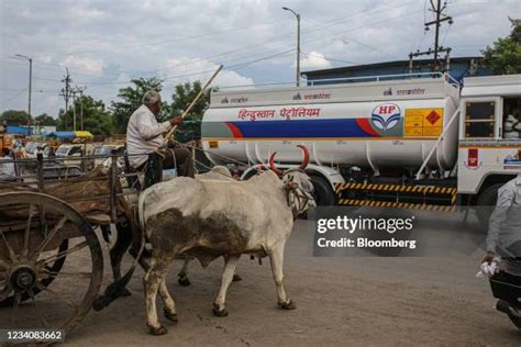 780 Indian Bullock Cart Stock Photos High Res Pictures And Images