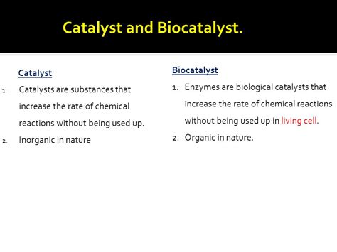 Bio Catalysts Group at Audrey Hinkle blog