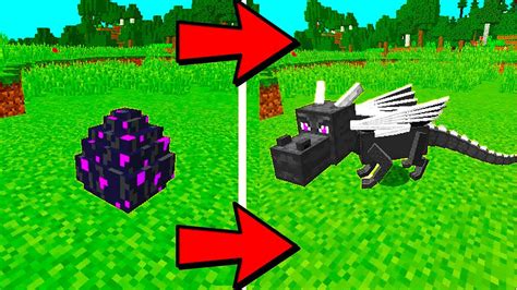 How To Hatch The Ender Dragon Egg In Minecraft Youtube