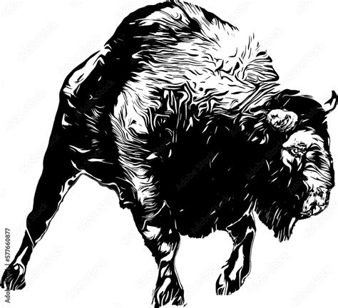 Black silhouette of an European Bison in a white background Stock ...