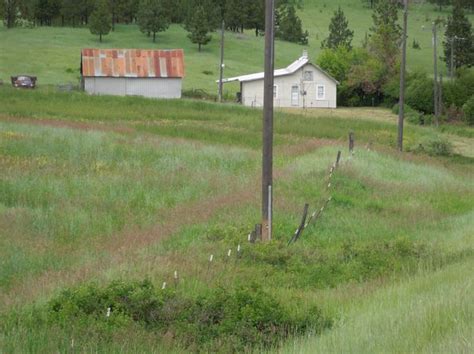 Fruitland Real Estate Fruitland Wa Homes For Sale Zillow