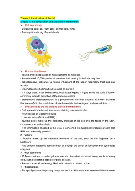 Biology A Notes T M T M Theme Thestructureofthecell Studocu