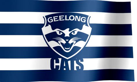 Geelong Football Club Fan Flag  All Waving Flags