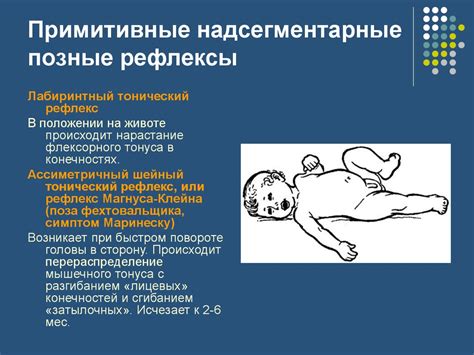 Рефлексы новорожденных и детей первого года жизни - презентация онлайн