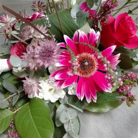 Buon Compleanno Nicoletta Birthday Garden Greenhouse