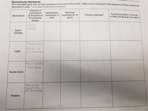 Biomolecule Review Worksheet - Printable Word Searches