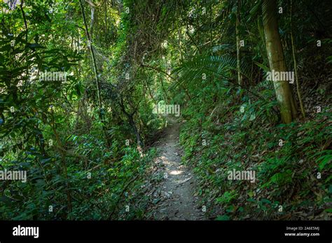 Tad Sae Waterfall in Luang prabang province, Laos Stock Photo - Alamy