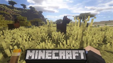 MINECRAFT 015 Pferde zähmen und Dörfer plündern Willkommen im Wilden