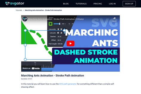 Marching Ants Animation Stroke Path Svgator Tutorial