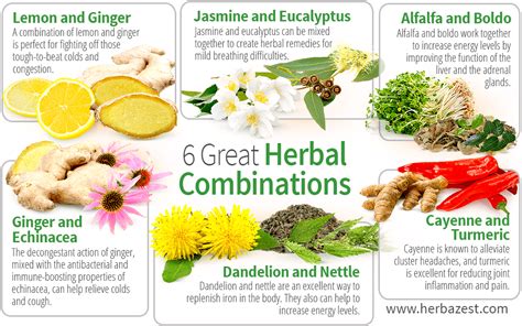 Great Herbal Combinations Herbazest