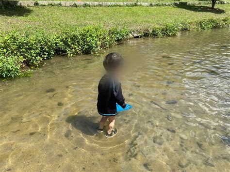 【岡山市中区】池の中には川の生き物がいっぱい！ひんやり冷たい川の水が流れ込む浅瀬の池で水遊びができる広場【百間川せせらぎ広場】│おかやま公園の