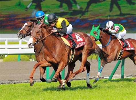 【阪神牝馬s】ブリリアント重賞初制覇競馬・レースデイリースポーツ Online