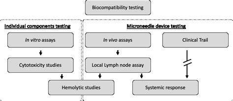 Schematic Diagram Showing The Biocompatibility Assessment Process