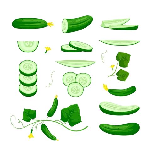 Premium Vector Cucumbers Cartoon Vegetable Vegan Plants Collection