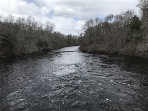 Taunton River at Titicut Street bridge – Taunton River Watershed Alliance